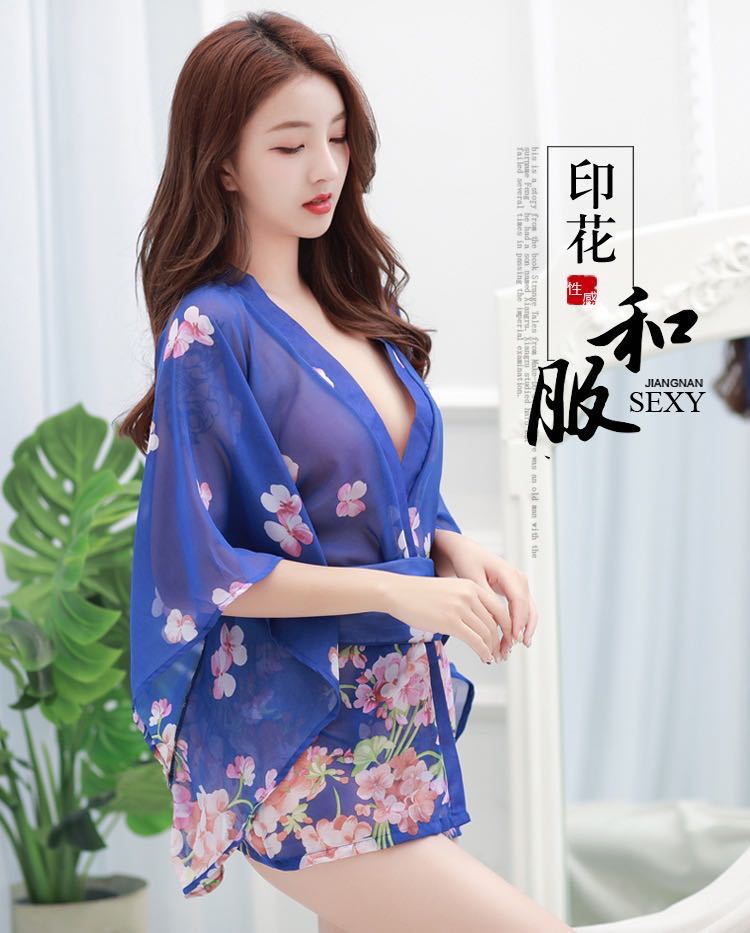 Angel Wing Sheer Nightie