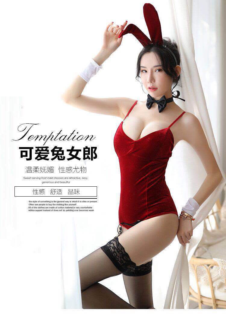 Velvet Bunny Bodysuit
