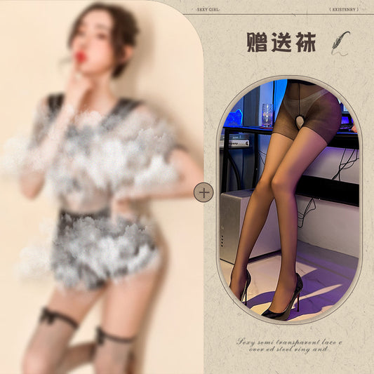 Sheer Lace Seductive Lingerie Costume