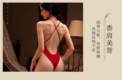 Sheer Swimsuit Bodysuit