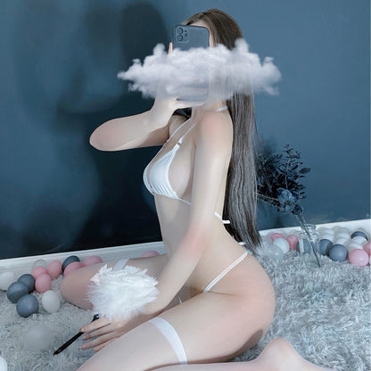 Sheer Bikini Swimsuit