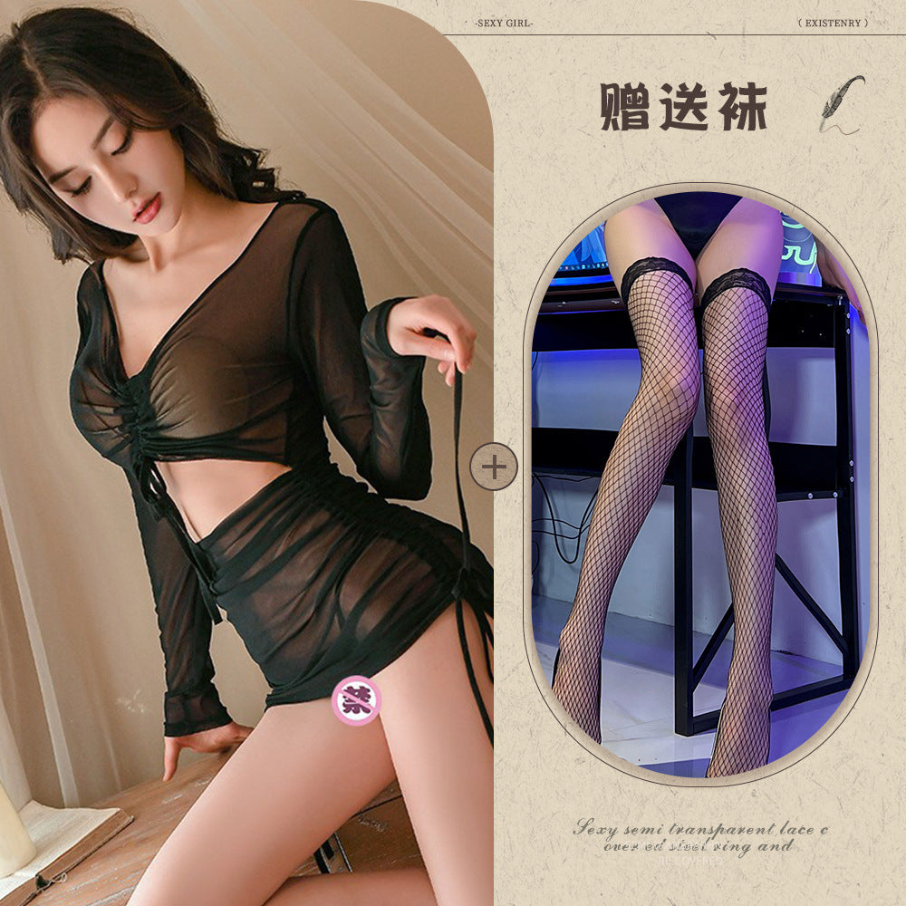 Long Sleeve Sheer Dress