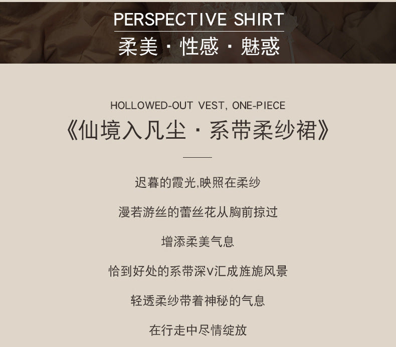 Sheer Lace Chemise Set