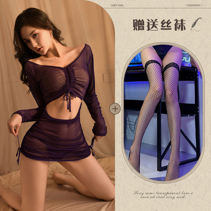 Long Sleeve Sheer Dress