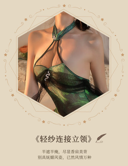 Sheer Robe & Bikini Set