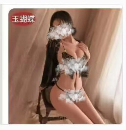 Mesh Role Play Dress
