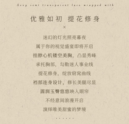 Fishnet Bodystocking