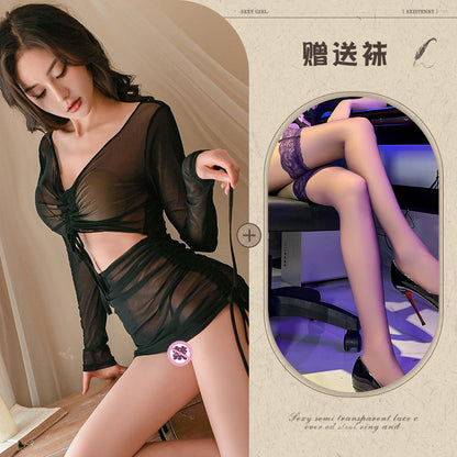Long Sleeve Sheer Dress