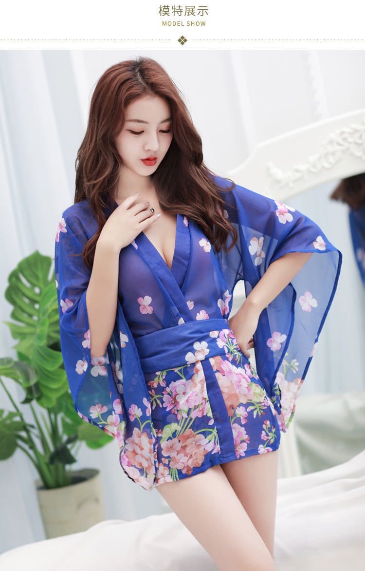 Angel Wing Sheer Nightie