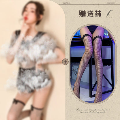 Sheer Lace Seductive Lingerie Costume