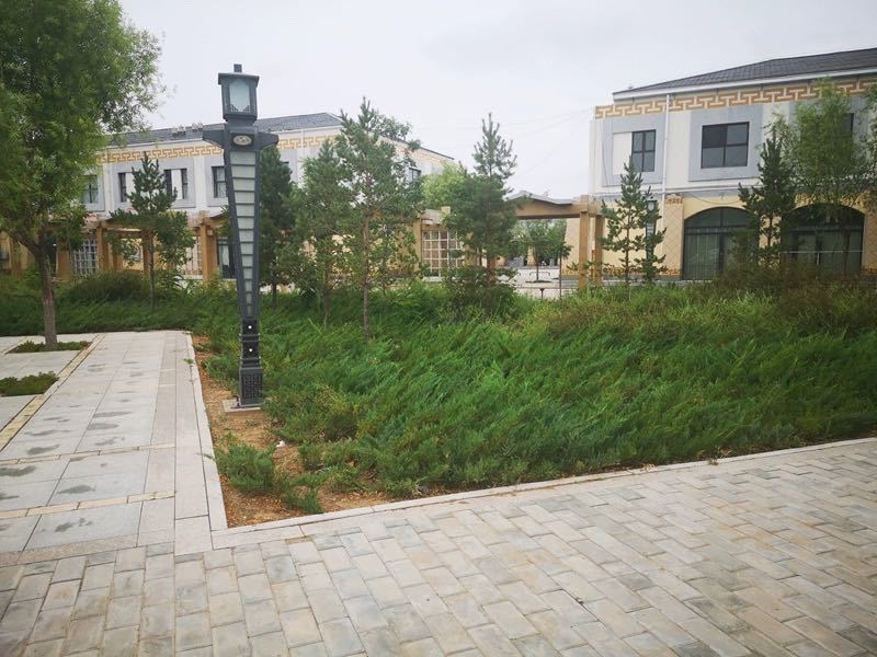 Silk Slit Nightdress