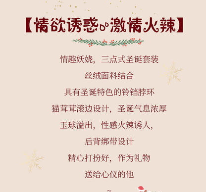 Christmas Bunny Set