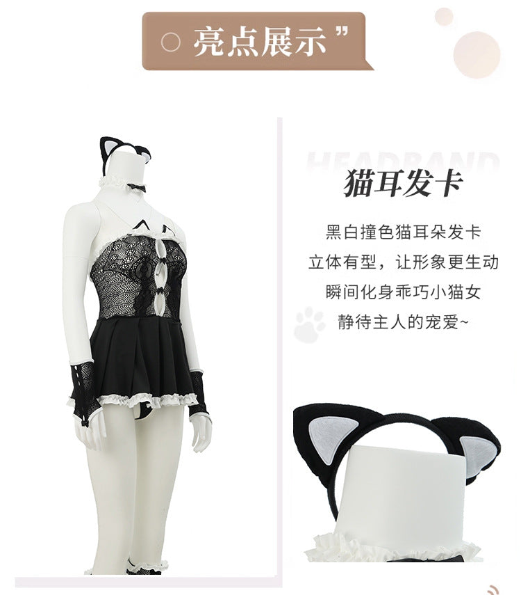 Catwoman Mesh Set
