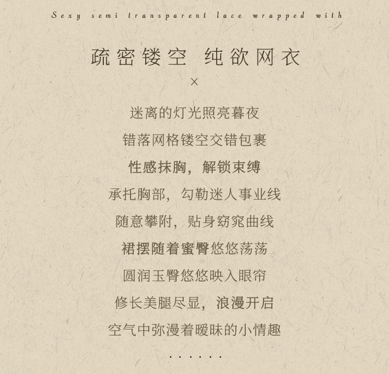 Plus Size Mesh Dress