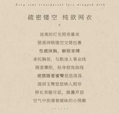 Plus Size Mesh Dress