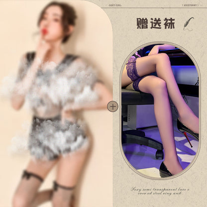 Sheer Lace Seductive Lingerie Costume