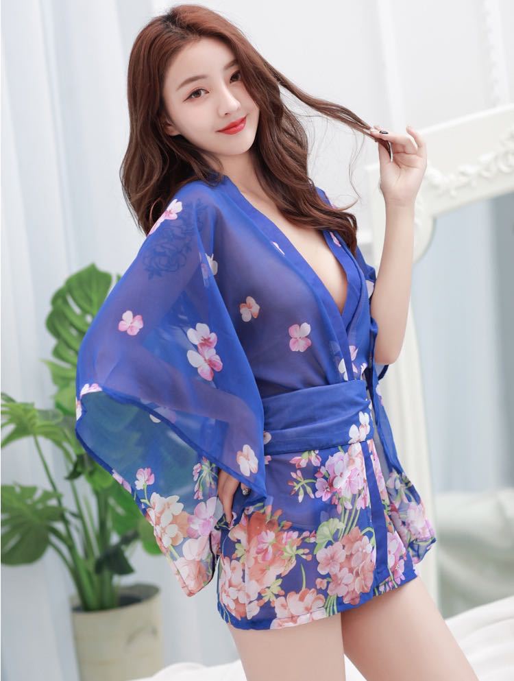 Angel Wing Sheer Nightie