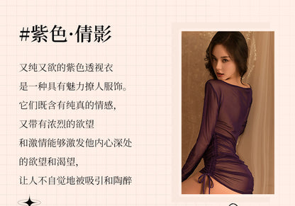 Long Sleeve Sheer Dress